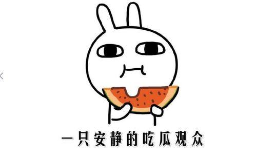 吃瓜有哪些意思  第1张