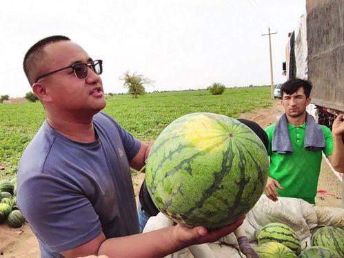 砍头装盆吃瓜,揭秘砍头装盆吃瓜的惊悚往事