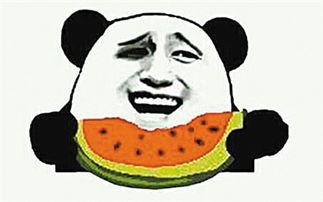吃瓜群众吃自己的瓜