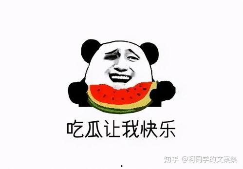 吃瓜群众吃自己的瓜  第3张
