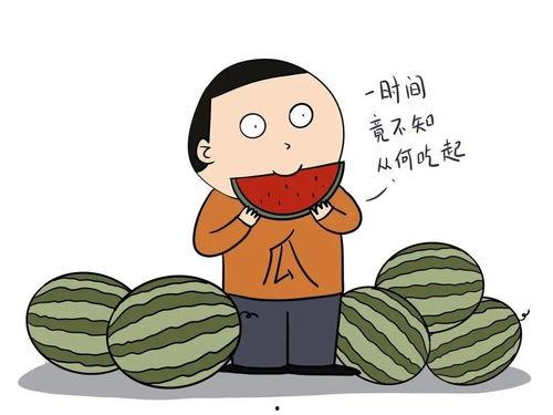 吃瓜侃历史,吃瓜群众视角下的历史风云录