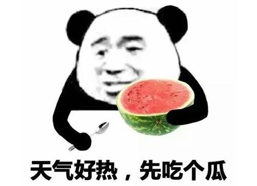 表情里吃瓜是什么