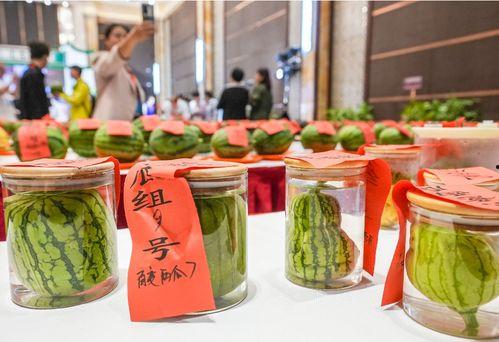 吃瓜群众小不点,吃瓜群众的趣味生活点滴  第3张