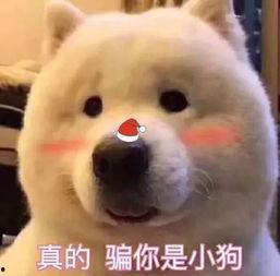 吃瓜骗人,网络谣言背后的真相与反思 第3张 吃瓜骗人,网络谣言背后的真相与反思 第3张